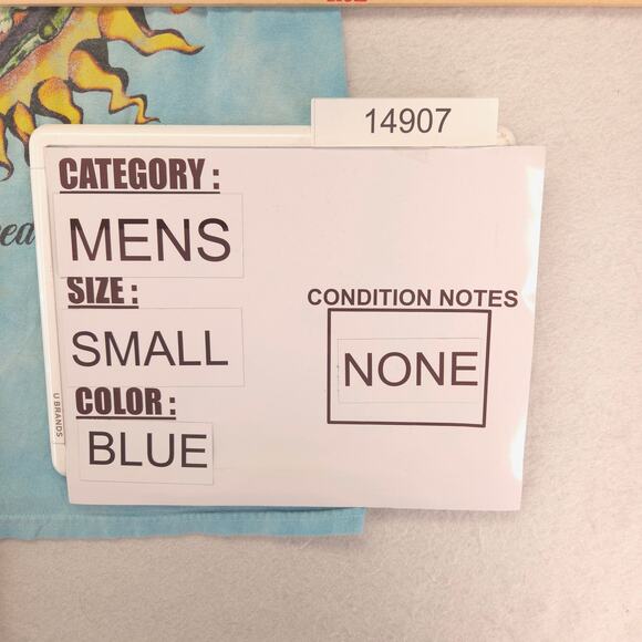 Sublime Band Short Sleeve Crew Neck Graphic T Shirt Mens Size Small S Blue - Picture 8 of 9